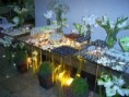 /album/decora%c3%a7%c3%a3o%20festa/imagem-1817-jpg/
